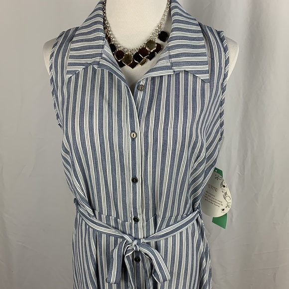 NWT Naïf Sleeveless Striped Shirt Dress - Picture 2 of 10